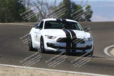 media/Oct-04-2025-Speed Ventures (Sat) [[3f074c1365]]/Green/Session 3 (Turn 2)/